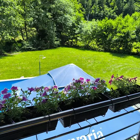 Ferienhaus Softa *